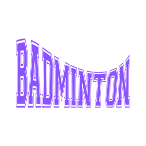 Richmond: Beginner Badminton  (Class 2)